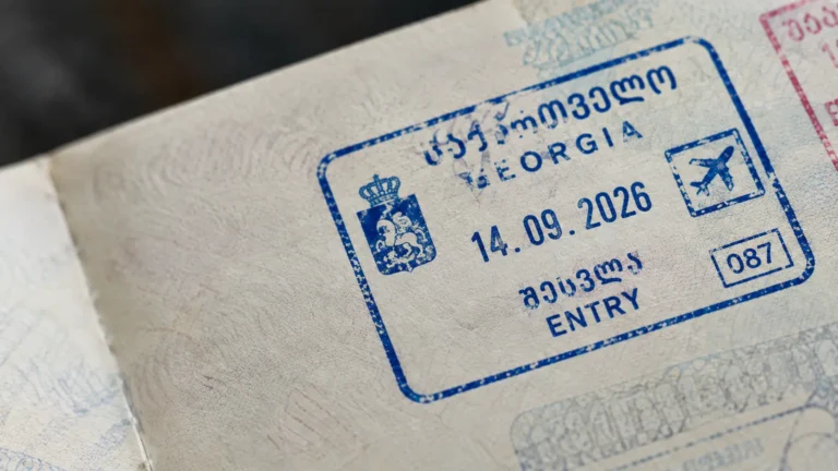 georgia entry requirements